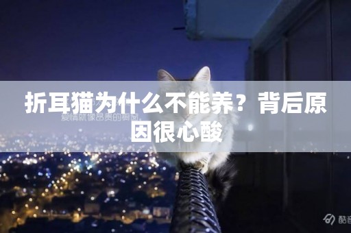 折耳貓為什么不能養？背后原因很心酸