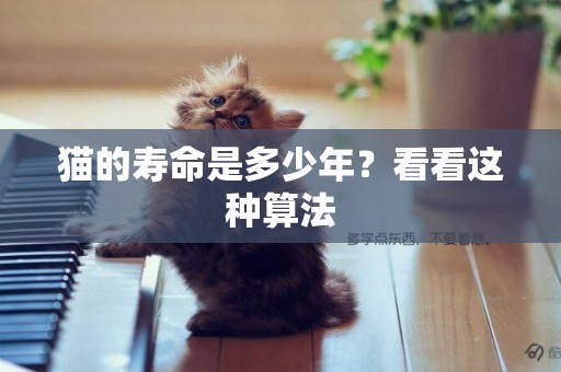 貓的壽命是多少年？看看這種算法