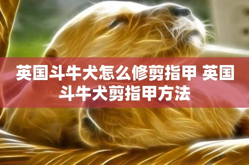 英國斗牛犬怎么修剪指甲 英國斗牛犬剪指甲方法