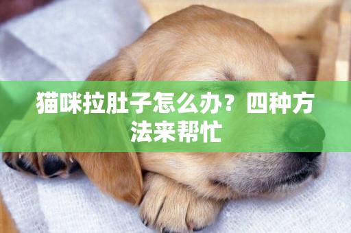 貓咪拉肚子怎么辦？四種方法來幫忙