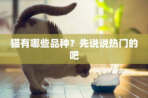 貓有哪些品種？先說說熱門的吧
