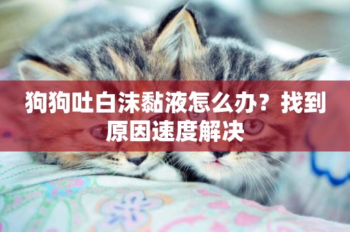 狗狗吐白沫黏液怎么辦？找到原因速度解決