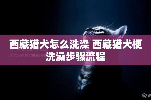 西藏獵犬怎么洗澡 西藏獵犬梗洗澡步驟流程