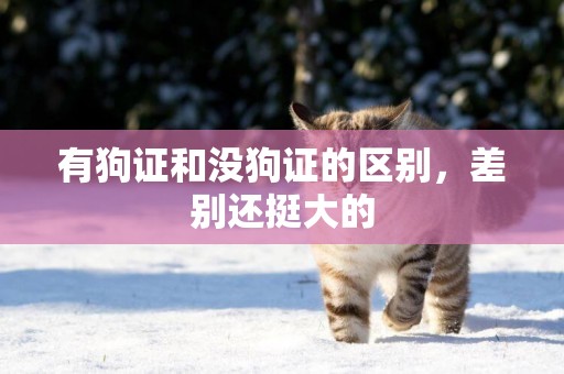 有狗證和沒狗證的區別，差別還挺大的