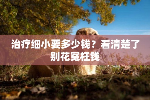 治療細小要多少錢？看清楚了別花冤枉錢