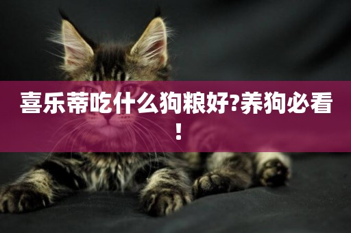 喜樂蒂吃什么狗糧好?養狗必看！