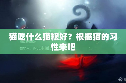貓吃什么貓糧好？根據貓的習性來吧