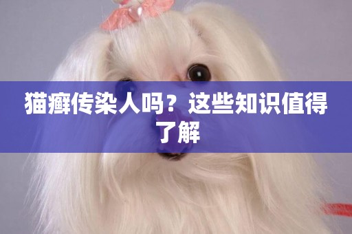 貓癬傳染人嗎？這些知識值得了解