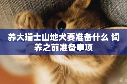 養大瑞士山地犬要準備什么 飼養之前準備事項