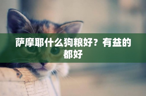 薩摩耶什么狗糧好？有益的都好