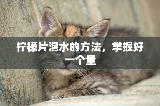 檸檬片泡水的方法，掌握好一個量