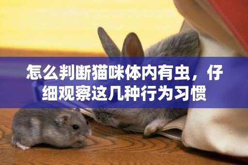 怎么判斷貓咪體內有蟲，仔細觀察這幾種行為習慣