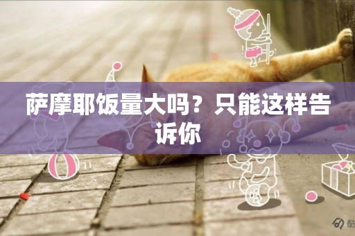 薩摩耶飯量大嗎？只能這樣告訴你