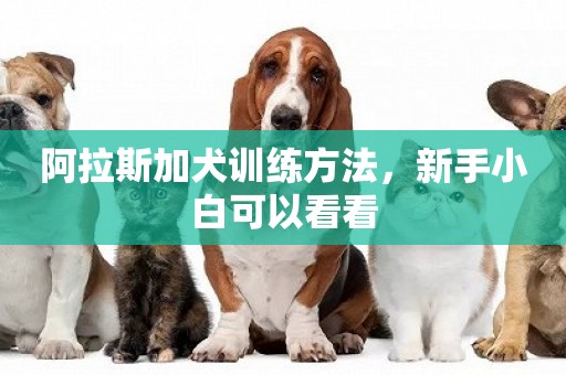 阿拉斯加犬訓練方法，新手小白可以看看
