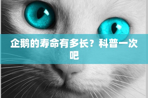 企鵝的壽命有多長？科普一次吧