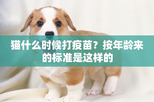 貓什么時候打疫苗？按年齡來的標準是這樣的