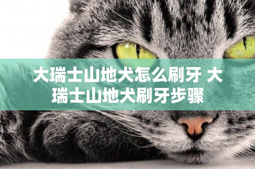 大瑞士山地犬怎么刷牙 大瑞士山地犬刷牙步驟