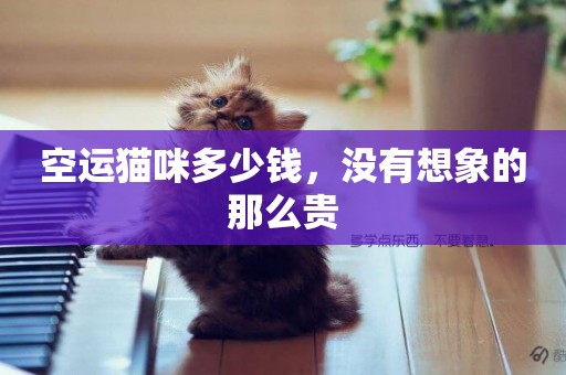 空運貓咪多少錢，沒有想象的那么貴