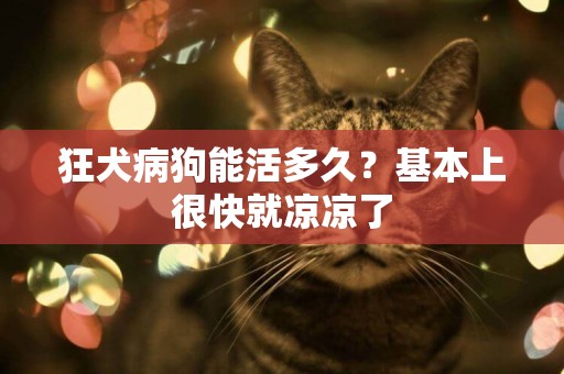 狂犬病狗能活多久？基本上很快就涼涼了