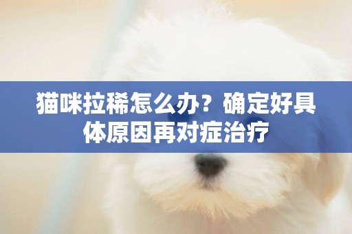 貓咪拉稀怎么辦？確定好具體原因再對癥治療