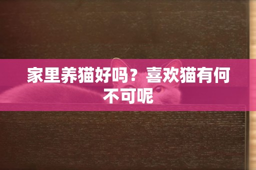家里養貓好嗎？喜歡貓有何不可呢