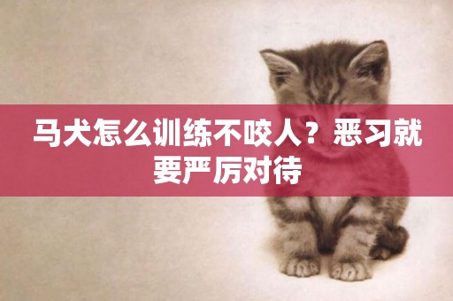 馬犬怎么訓練不咬人？惡習就要嚴厲對待