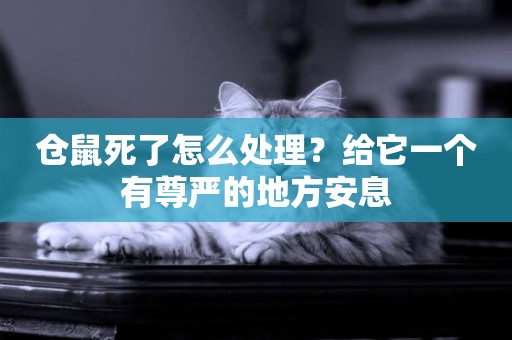 倉鼠死了怎么處理？給它一個有尊嚴的地方安息