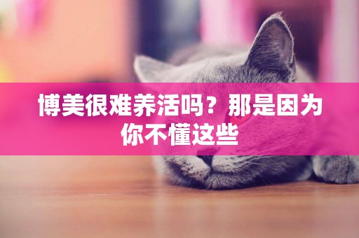博美很難養活嗎？那是因為你不懂這些