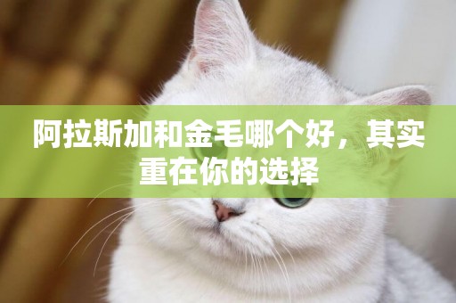 阿拉斯加和金毛哪個好，其實重在你的選擇