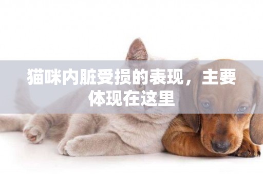 貓咪內臟受損的表現，主要體現在這里