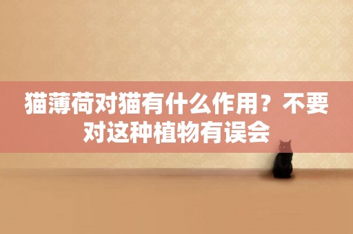 貓薄荷對貓有什么作用？不要對這種植物有誤會