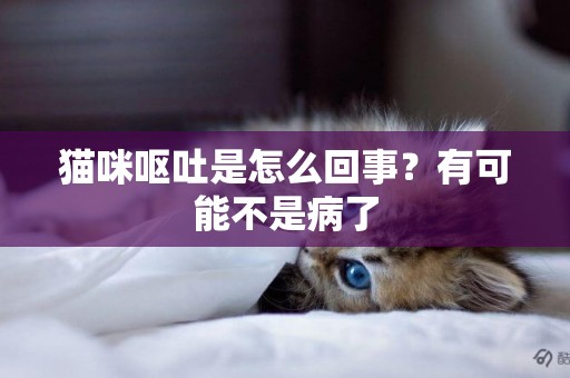 貓咪嘔吐是怎么回事？有可能不是病了
