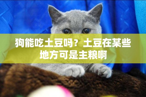 狗能吃土豆嗎？土豆在某些地方可是主糧啊