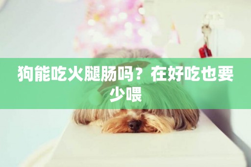 狗能吃火腿腸嗎？在好吃也要少喂