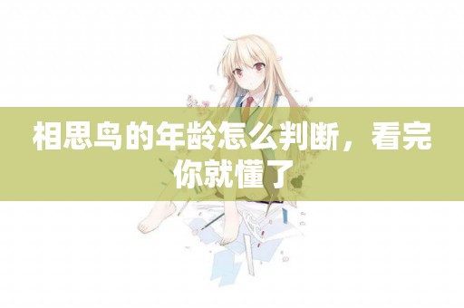 相思鳥的年齡怎么判斷，看完你就懂了