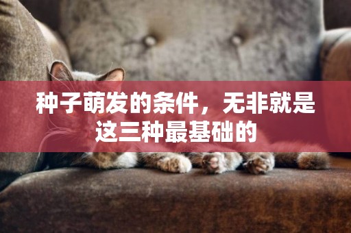 種子萌發的條件，無非就是這三種最基礎的