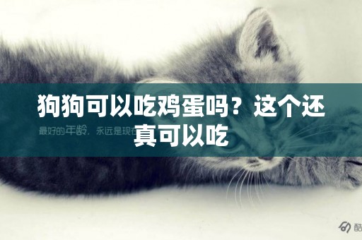 狗狗可以吃雞蛋嗎？這個還真可以吃