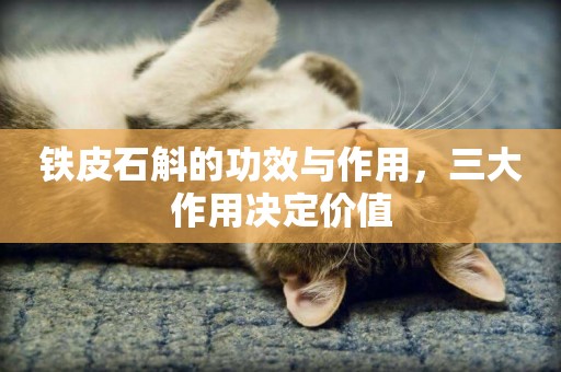鐵皮石斛的功效與作用，三大作用決定價值