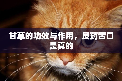 甘草的功效與作用，良藥苦口是真的