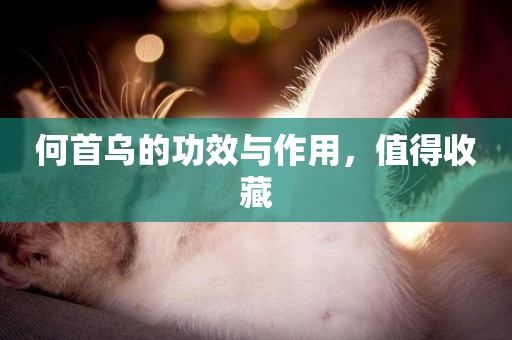 何首烏的功效與作用，值得收藏