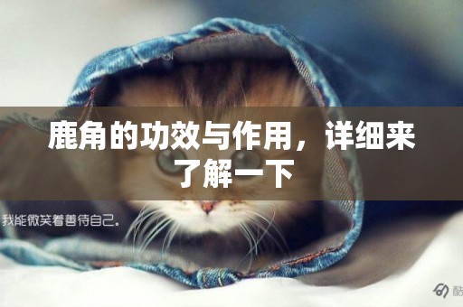 鹿角的功效與作用，詳細來了解一下