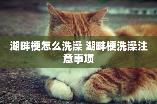 湖畔梗怎么洗澡 湖畔梗洗澡注意事項