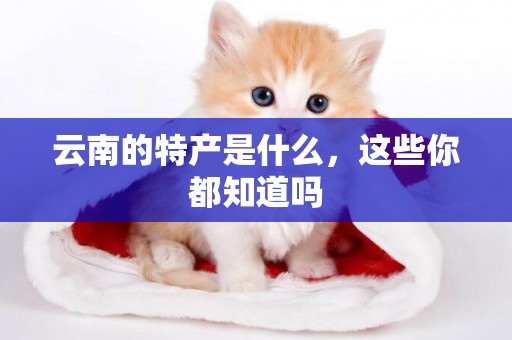 云南的特產是什么，這些你都知道嗎