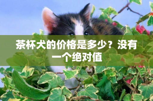 茶杯犬的價格是多少？沒有一個絕對值