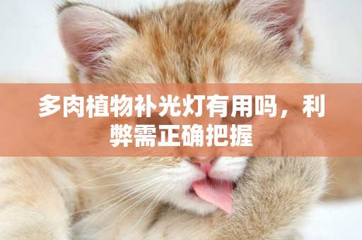 多肉植物補光燈有用嗎，利弊需正確把握