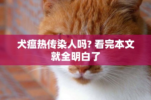 犬瘟熱傳染人嗎? 看完本文就全明白了