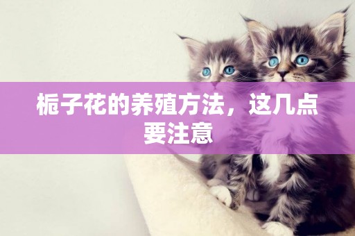 梔子花的養殖方法，這幾點要注意