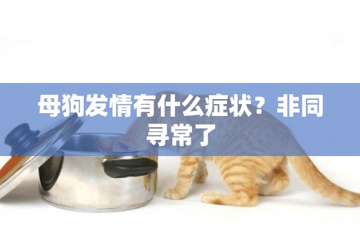 母狗發情有什么癥狀？非同尋常了