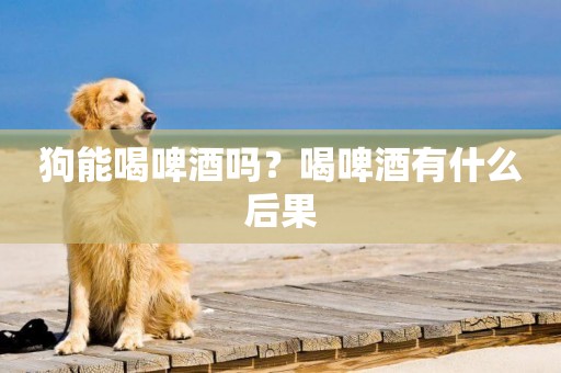 狗能喝啤酒嗎？喝啤酒有什么后果