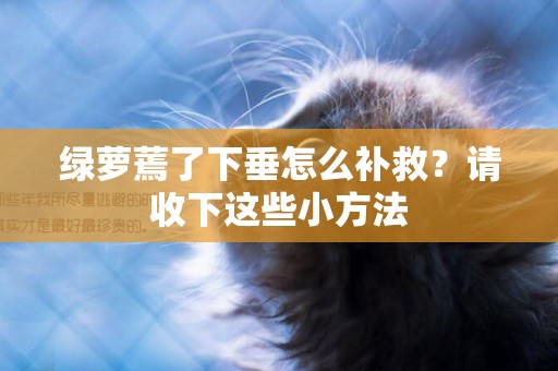綠蘿蔫了下垂怎么補救？請收下這些小方法